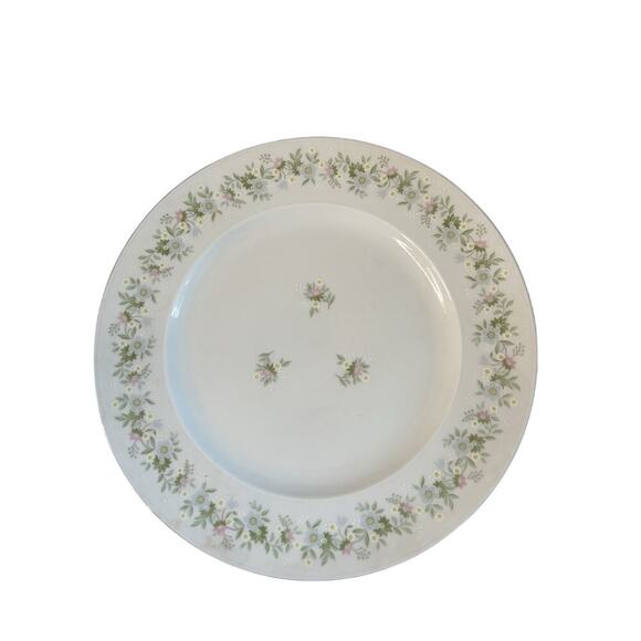 4 Johann Haviland “Forever Spring” 10” Dinner Plates Porcelain Germany EUC - Picture 8 of 16